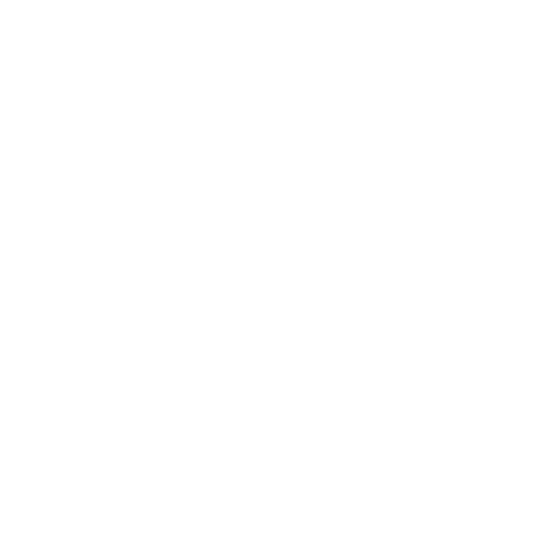 Chat icon