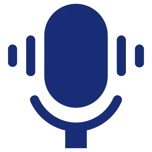 Voice input