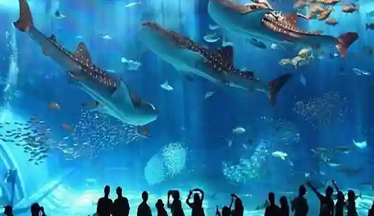Hurghada resort