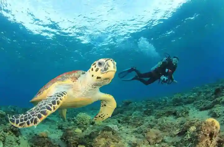 Marsa Alam Red Sea